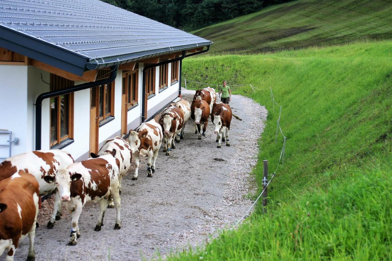 Schartlhof Villa Flachau Bagian luar foto