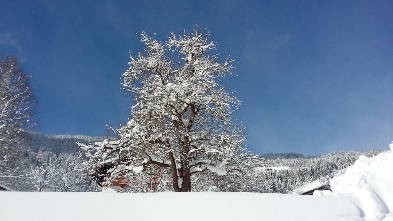 Schartlhof Villa Flachau Bagian luar foto